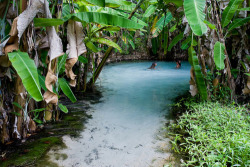 papaya-blue:  sloth-tribes:  the tropicsssss☯☼    🌴 tropical blog 🌴    