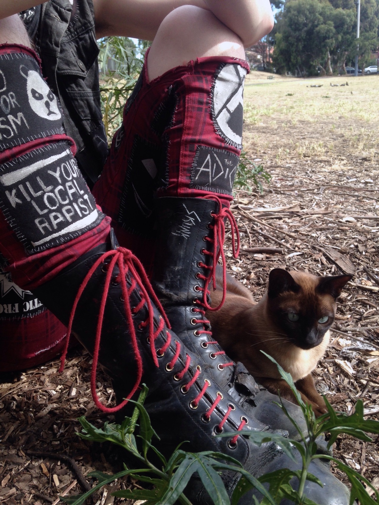 punk-kitten-666:  made a new friend today 😻🐾@patches-get-snatches 