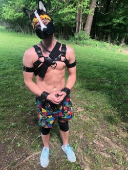 thepittsburghpuppy:  Woof! Woof! Woof!