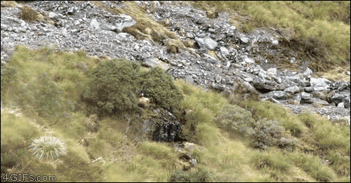 gif-guy:  Other Funny Gifs http://gif-guy.tumblr.com/