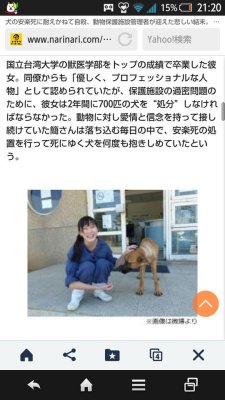 over-sleep: 鈴木さんは浪人生さんのツイート: “なんだこれ…悲しすぎるだろ… ” Σ(ﾟДﾟ) ・・・・・・・・・・動物保護団体と処分せしめる状態を作り出したえせ愛犬家とそれを食い物にする業者に暗い憎悪を覚える・・・