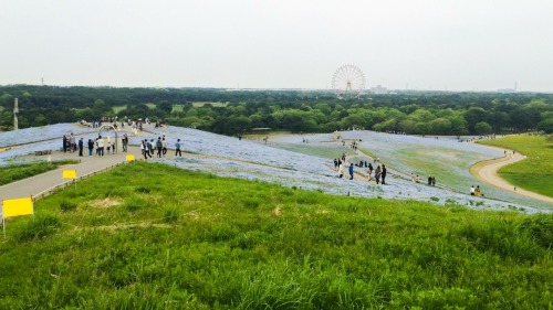 Golden Week Road Trip! We visited Tochigi, Ibaraki, Fukushima, and Miyagi!