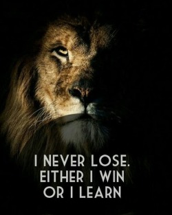 inkdnready:  Amen…🦁😈