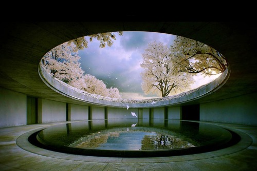 jamesusilljournal:TheOval,  Naoshima Island, Japan, designedby architect Tadao Ando