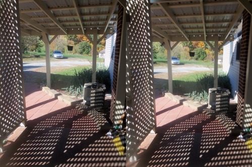 Lattice Cross your eyes a little to see these photos in full 3D. (How to view stereograms)