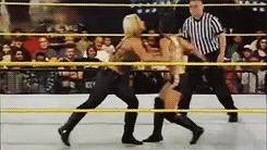 animatedwwe:  &ldquo;You’re the first, the last, my everything&rdquo; 