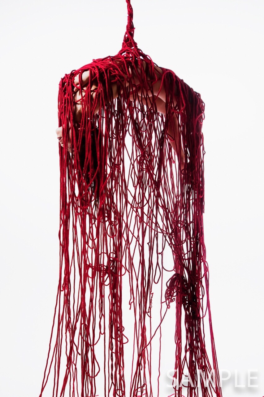 hajimekinoko:  I will do my exhibition “Red” in Baltimore. 5/5-14 This series