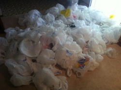 Have so many plastic bags to recycle they