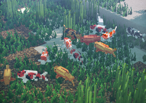 minecraftisthecoolest:Koi bois via /r/Minecraft by Bennjo_777 https://ift.tt/2WX0tb9