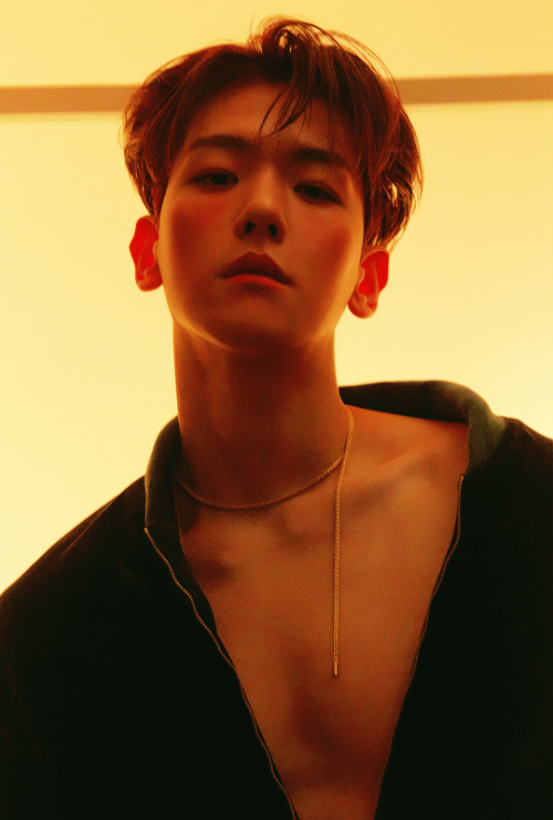 metoo-3:  sefuns:BAEKHYUN — The 2nd Mini