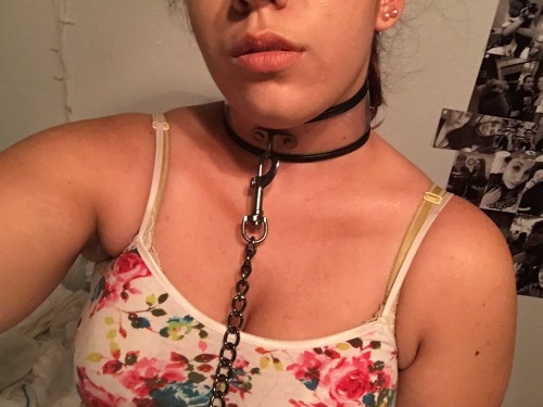 brattyprincesssub:  Okay, so here is what the collar looks like (no worries, this is the first one, not the one I’m selling).  It’s a :  -transparent collar with black lining -featuring black nickel-free hardware -VERY sturdy -heavy chain -clip-on