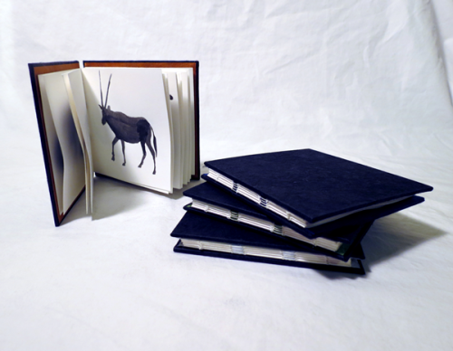 This is the guessing game book series that I made for my final last year in bookmaking. Each book ha