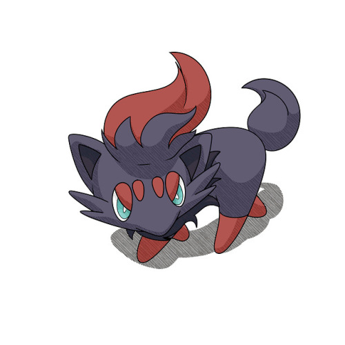 zorua