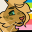 bisexualonestar