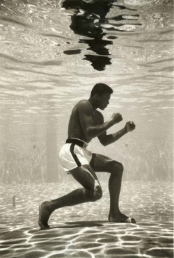 standnow:  1961: Ali Underwater, Miami 