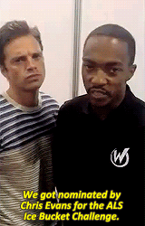 bbuchanann:  Anthony Mackie and Sebastian Stan’s ALS Ice Bucket Challenge (x) 