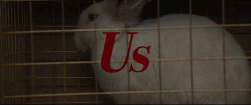 Us (2019)Directed by Jordan PeeleCinematography by Mike Gioulakis “If you wanna get crazy, we can ge