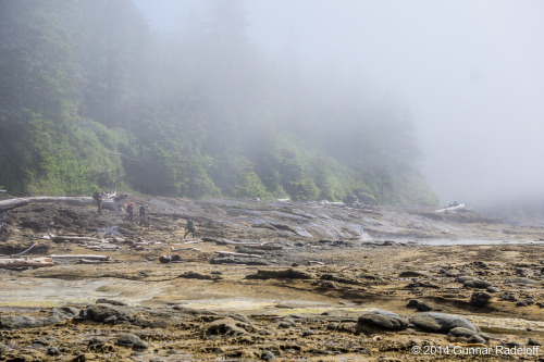 7.7.2014 - day 5 on the West Coast Trail - the fog moving in..#BC #Canada #VancouverIsland #WestCoas