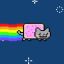 katz4cittens
