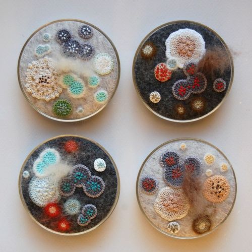 altruisticmisanthrope:  itsyourdistraction:  aitcharcee:  currentsinbiology:  Petri Dish Crochet by Elin Thomas.  I would hang this on my wall so hard.  altruisticmisanthrope this might tickle your fancy  !!!