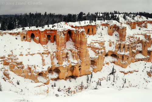 jadewolf-photography: Snow on the Hoodoos Bryce Canyon National Park