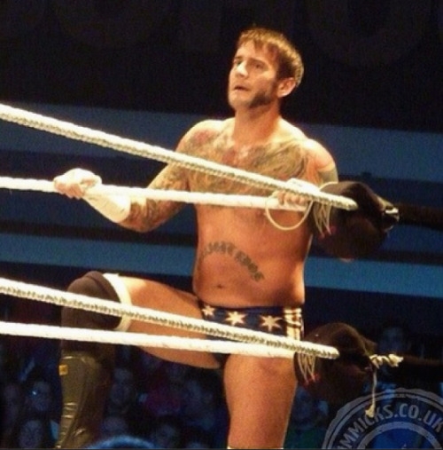 cmpunkarmy:  Credit to jolienmichell.