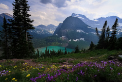 0ni0ns:  about-usa:   	Grinnell Lake - Montana - USA (by Ryan McKee)  The fact places like this exist is ridiculous. My definition of perfection. 