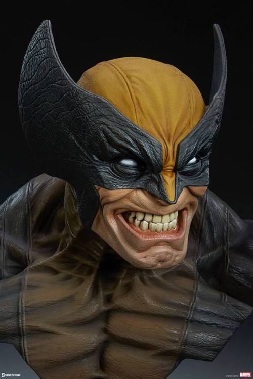 Porn Pics haxanbelial:  Wolverine life-size bust by