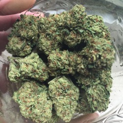 empire420:  Newest pickup of some Sour OG