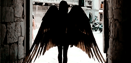 0e4113703cd5372192db6490875619ad2738cc66.gif