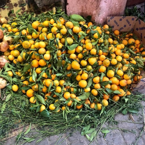 ratandboa:Orange de Marrakesh (at Marrakech)https://www.instagram.com/p/BqCTLnGl4q4/?utm_source=ig_t