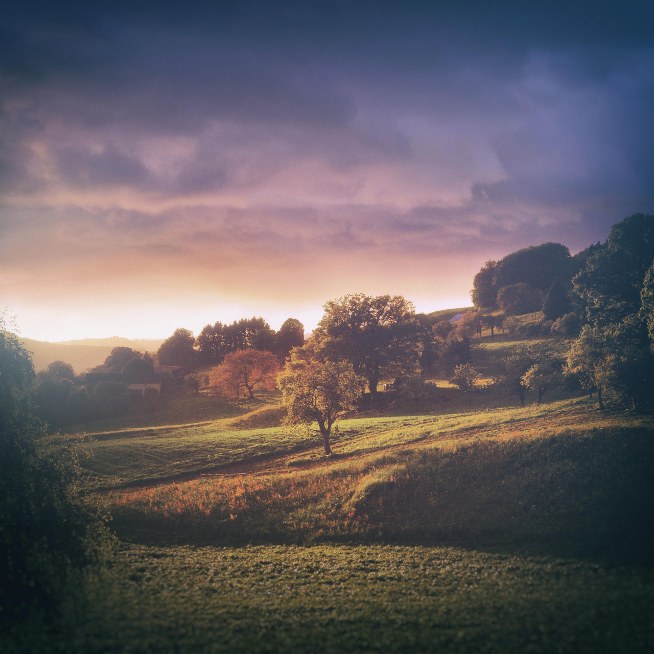 travelgurus:                The Nature of Switzerland Ater The Storm by Cyril