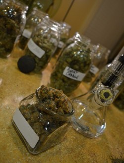 the-stoners-blog:  Stoner Supply co. Weed