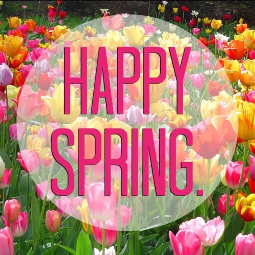 Happy first day of Spring! We are fully stocked with Spring/Summer goods so come in soon for the bes