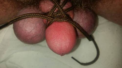 My Tied up cock from last week porn pictures