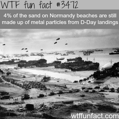 wtf-fun-factss:Normandy’s beach is 4% metal -  WTF fun facts