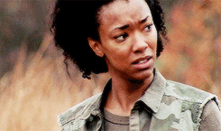 alexdoodlemain: gif request meme: TWD ladies + hair pornrequested by muchadoaboutmoi