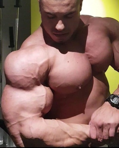 Post [186537868426] Muscle Tumbex