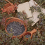 kit-the-blueberry-thief