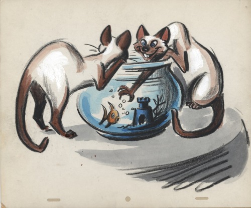 the-disney-elite: Joe Rinaldi’s Lady and the Trampstoryboards featuring the Siamese Cats. 