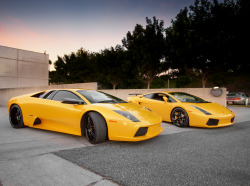 fullthrottleauto:  Two Yellow Lamborghinis