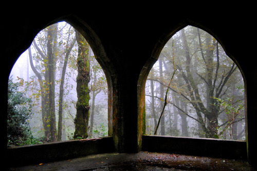 eyesofthewoods:Sintra by Jaime Oriz.