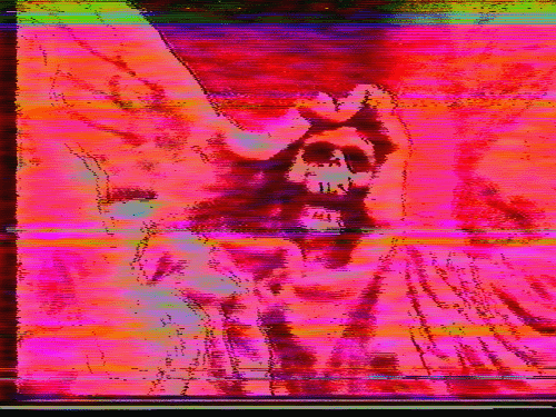 The VHS Network