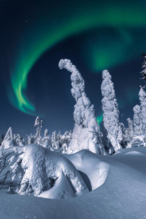 oneshotolive:  Aurora borealis over snowy