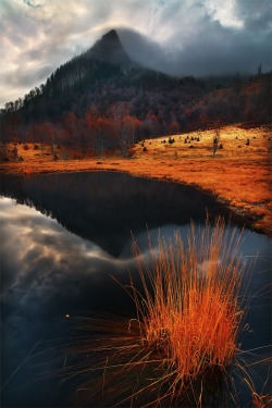 musts:  autumn pond by Szabo Zsolt Andras Romania 