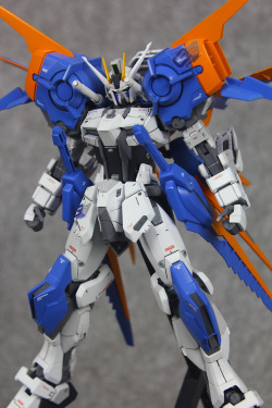 gunjap:  blackheart’s IMPROVED 1/100 Gale