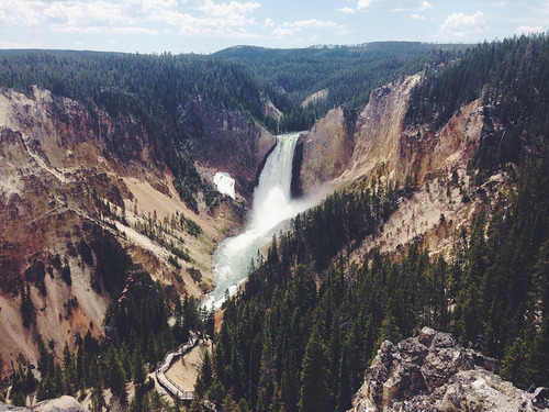 danielodowd: leefine 