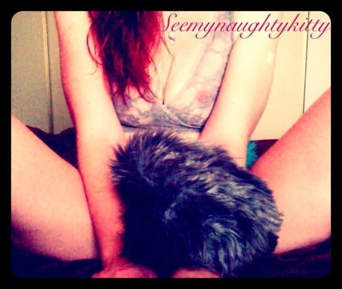 ~Mmmmm my tail feels so soft and fluffy between my legs~  #petplay #tailplay #kittyplay