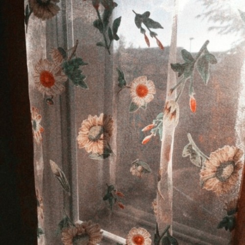 zodiac–signs:Thoughtful, Nostalgic, Principled. Aesthetic/ Moodboard Post for: Pisces Sun &
