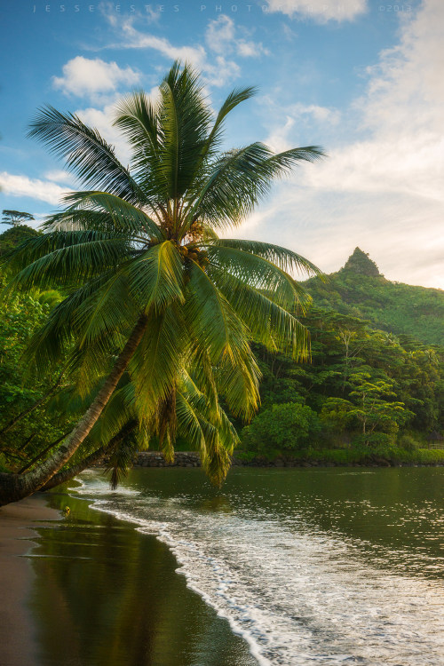 XXX theencompassingworld:  renamonkalou:  Tahiti photo